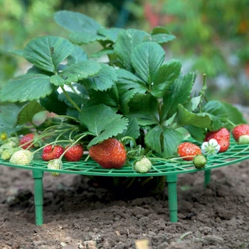 Rastlina Plastové Nástroj Jahôd Rastie Kruh Podporu Rack Poľnohospodárstvo Rám Záhradné Rastliny Viniča Klietky Záhrada Dodávky
